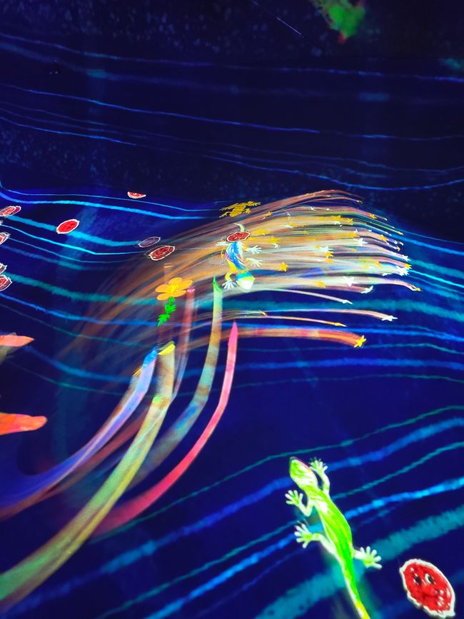 teamLab: bunt, lebendig und voller Erlebnisse