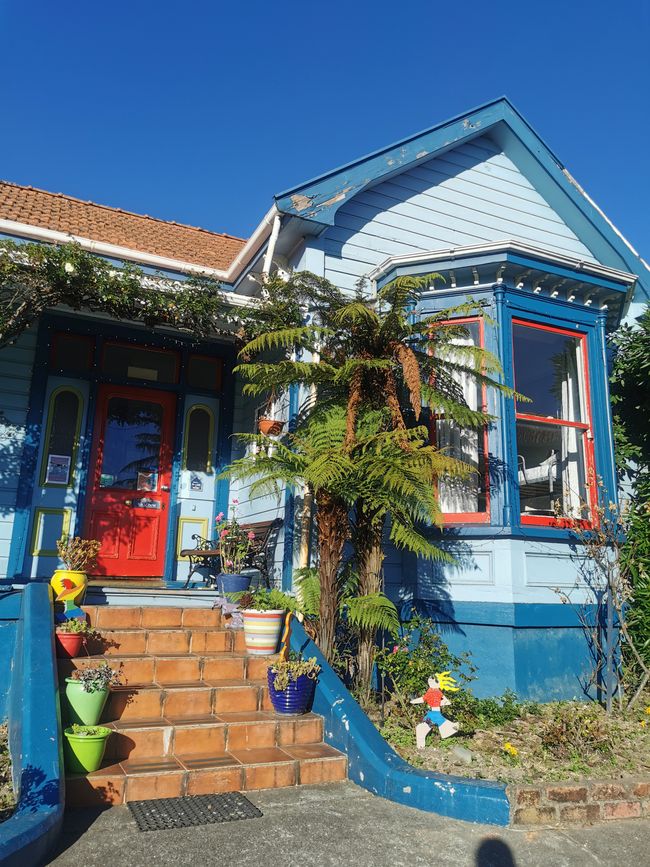 Picton Hostel