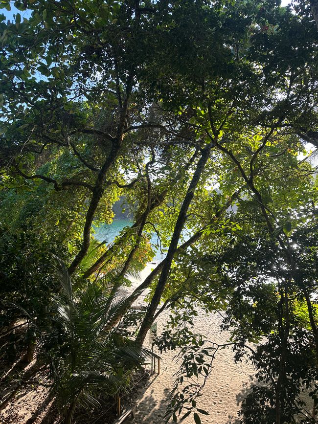 Costa Rica 🇨🇷 
