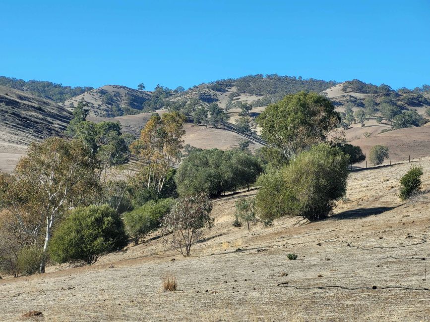 Tanunda, Barossa Valley