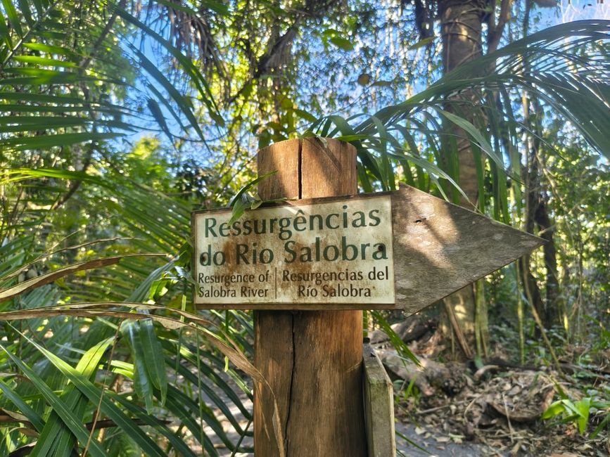 MT - Dia 3: Bom Jardim - Flutuação e banho no Rio Salobra