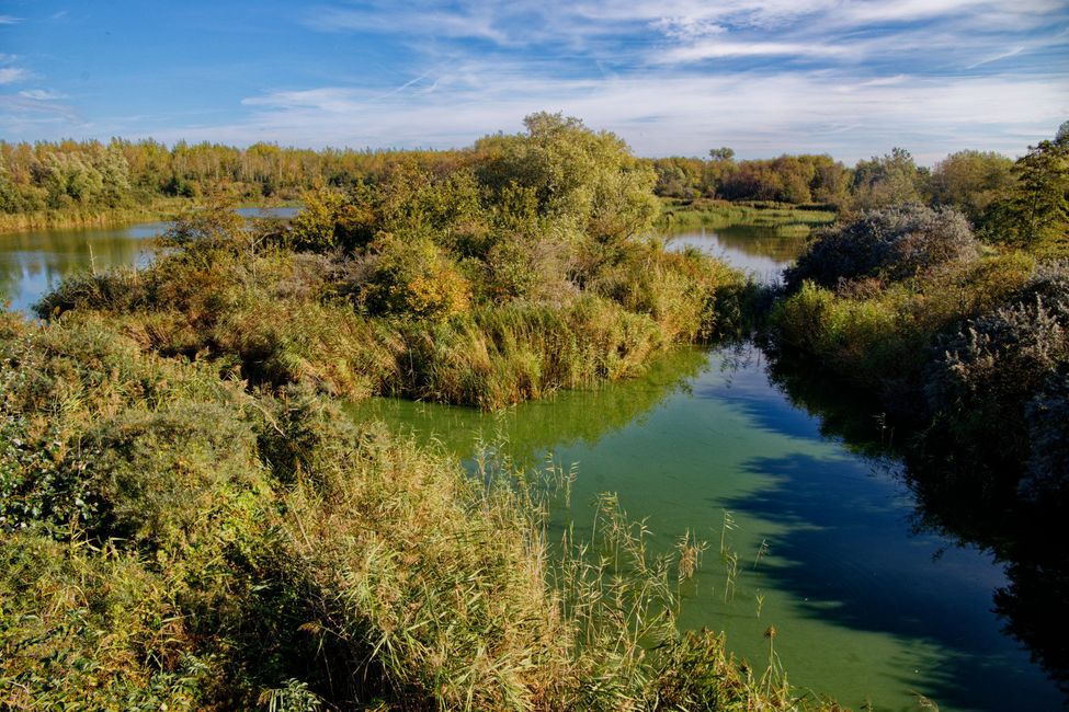 Rugged nature in open landscape