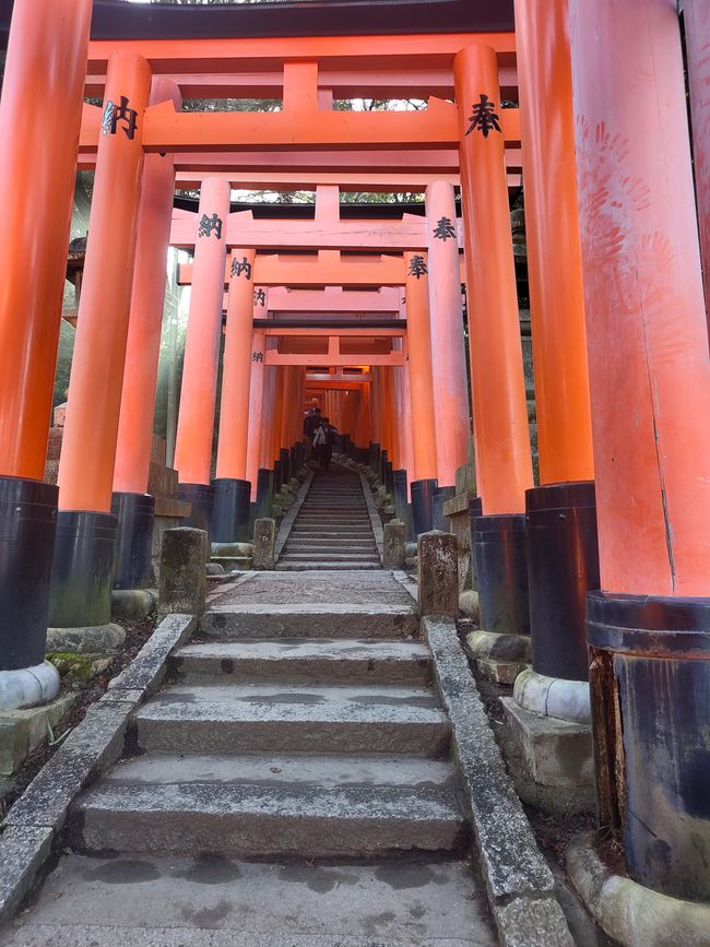 And even more Torii
