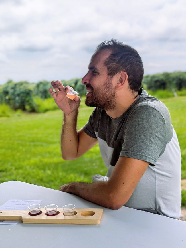 Cata de vino en un viñedo, conclusión: ¡Excelente vino!