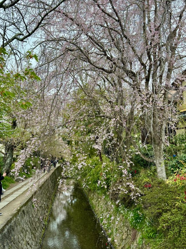 Part 8 Japan 🇯🇵 Kanazawa
