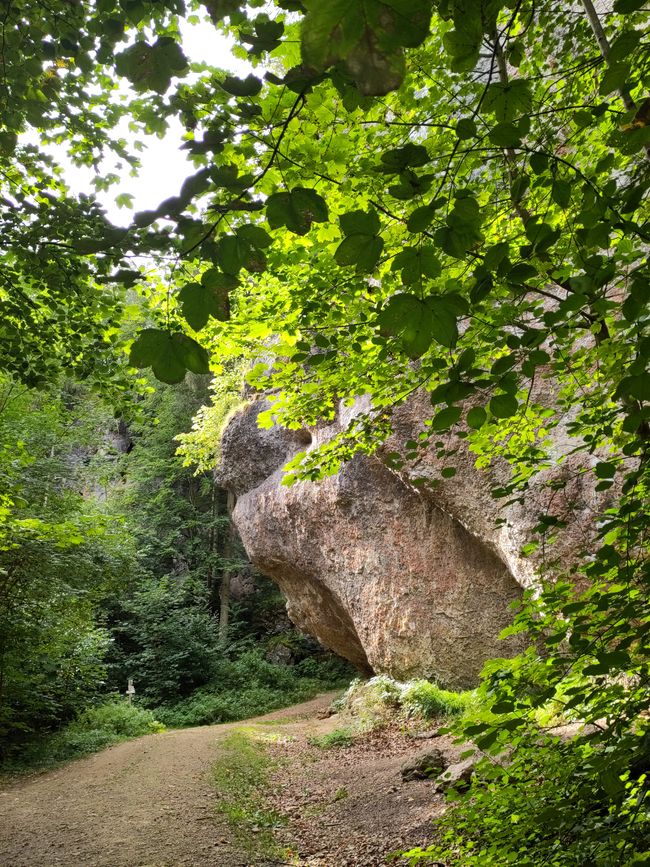 in der Bärenschlucht im Tal der Püttlach