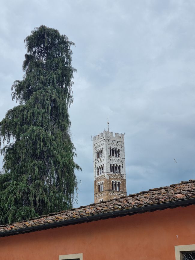 Italien im Frühling
Teil 1 Toscana