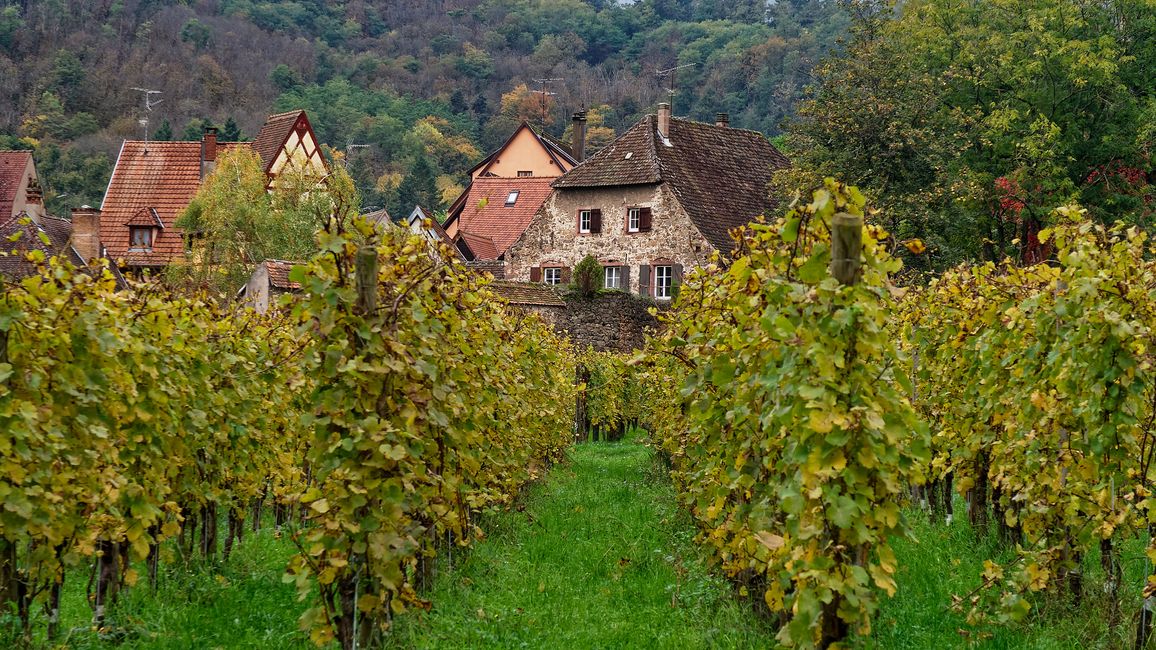 Kaysersberg