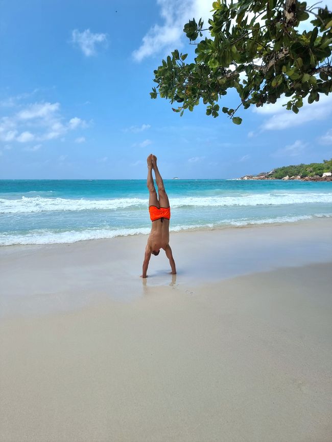 Seychellen - Tag 9: Praslin - Anse Lazio
