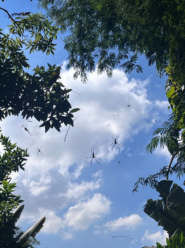 Schülervertretertreffen in Sao Paulo