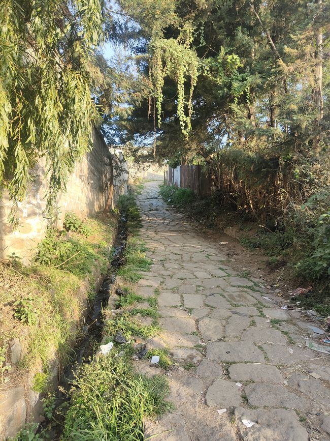Zurück in Quartier Gulele