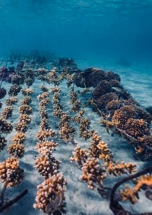 Polynésie française : Un pas de plus au-delà de la ligne de changement de date