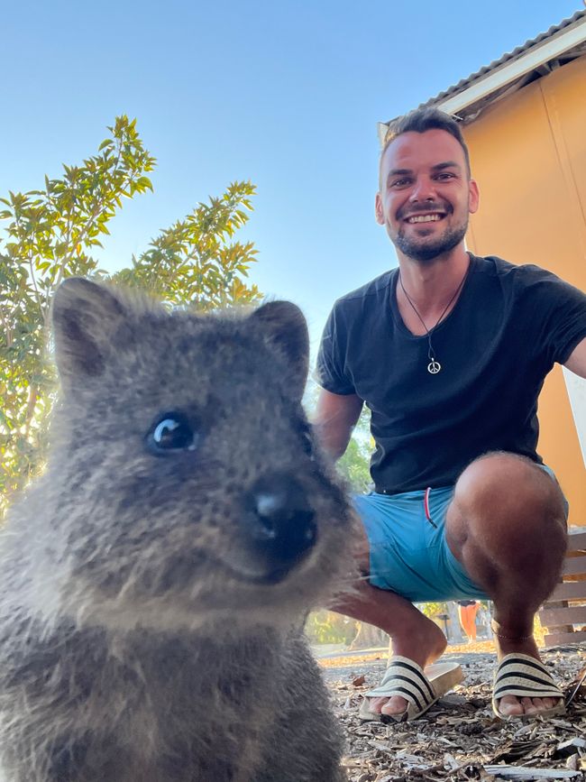 15.03.2025-26.03.2025 / Perth
