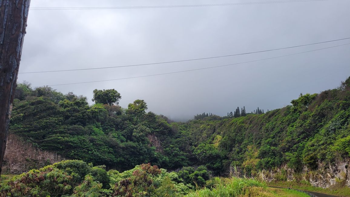 Oh my God, what a ride ... up to Nakalele Point, grrrrr :(