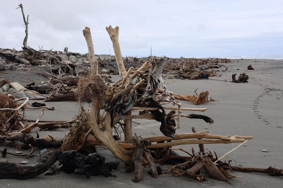 An der West Coast weiter Richtung Süden