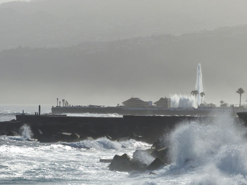 "Normale" Wellen vor Puerto de la Cruz