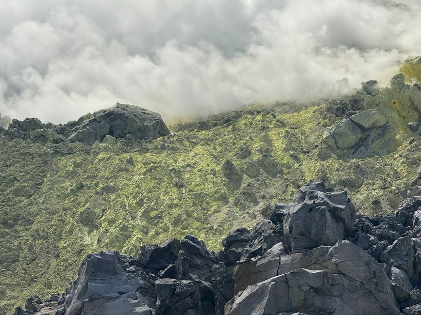 Isabela (Galápagos)