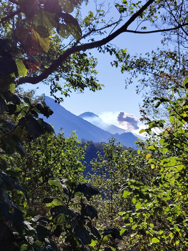 Santa Maria and Santiaguito volcano 