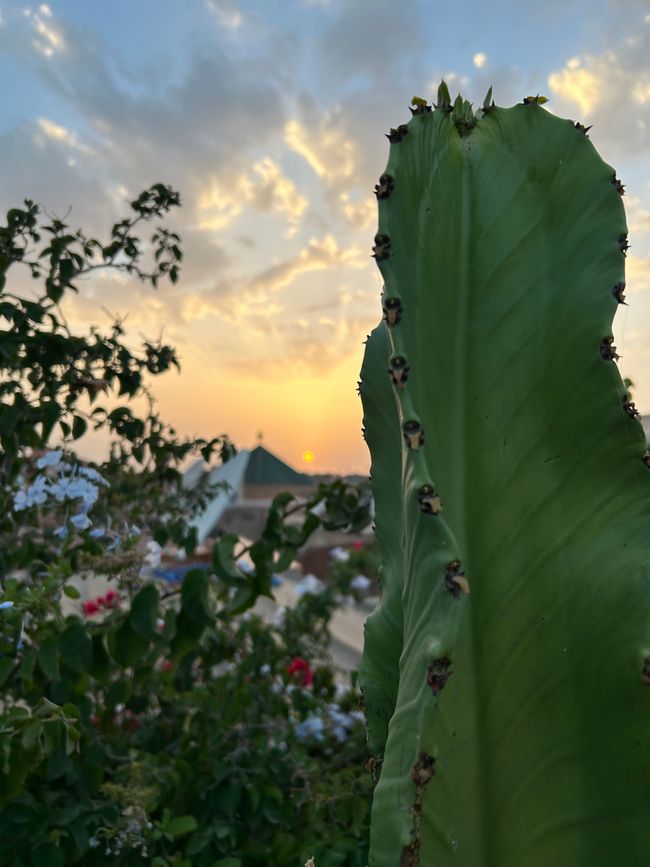 Marrakesch - nach Marokko wollte ich schon immer mal