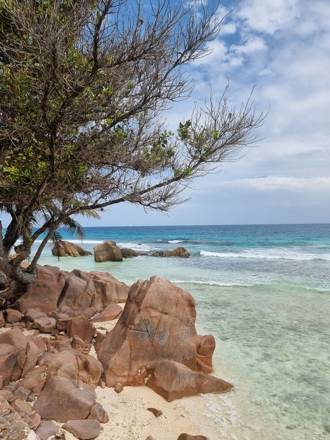 Seychellen - Tag 11: Inselhopping auf die Insel La Digue