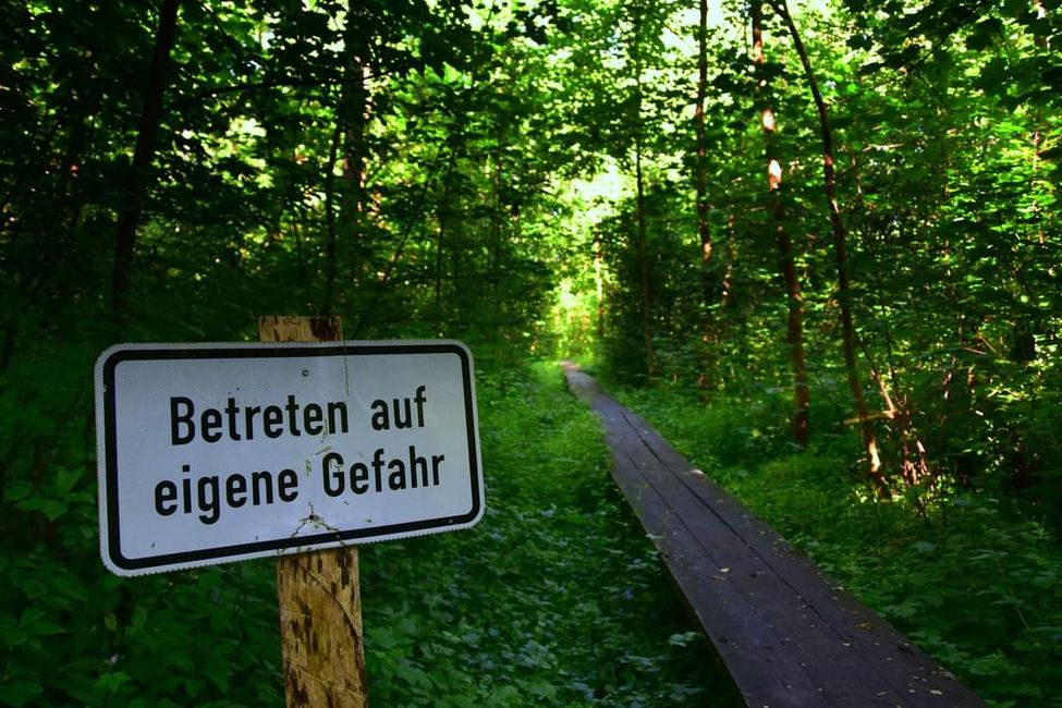 * * * Zwischen Himmel und Wasser * * *

Ein Spaziergang durch das Weingartener Moor