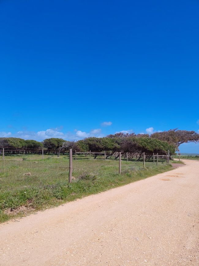 Sagres -> Vila do Bispo