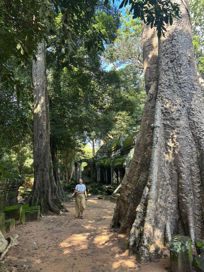 Der Frühe Vogel ist schnell müde