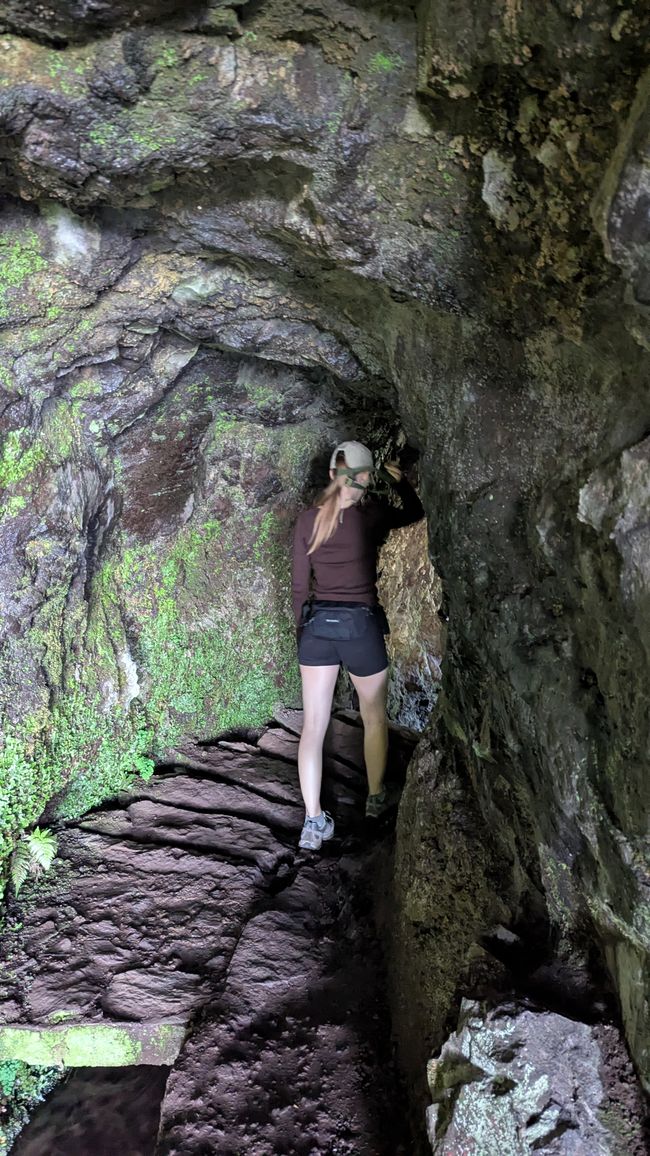 Tag 14: Levada do Caldeirão Verde & Nordküste