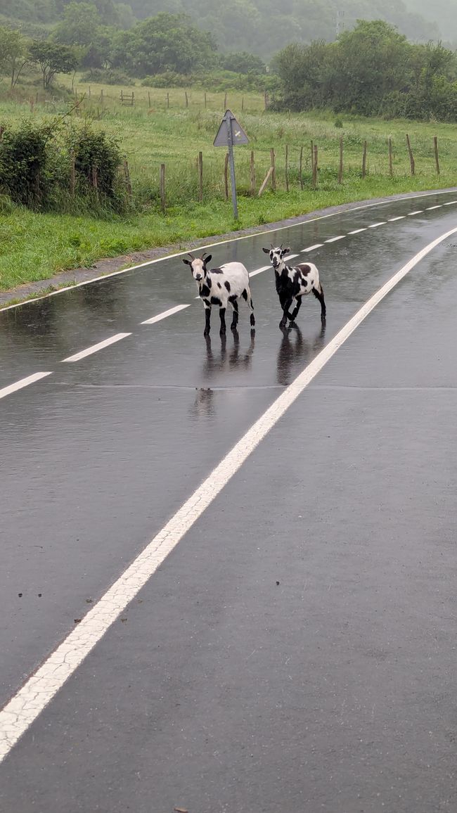 2. Etapa Camino del Norte - de Getxo a Castro Urdiales