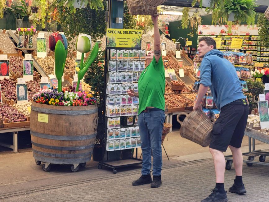 Tulpemmarkt