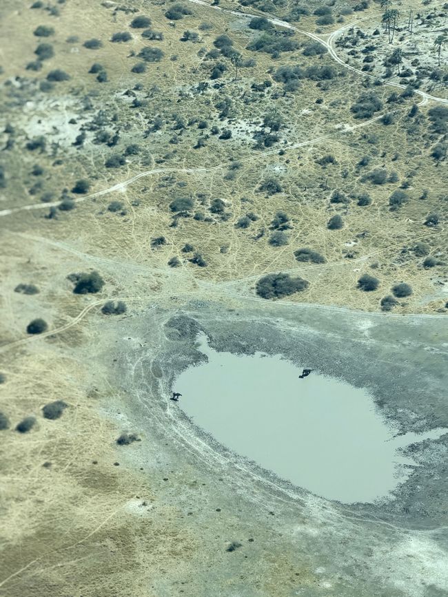 Abschied von Botswana