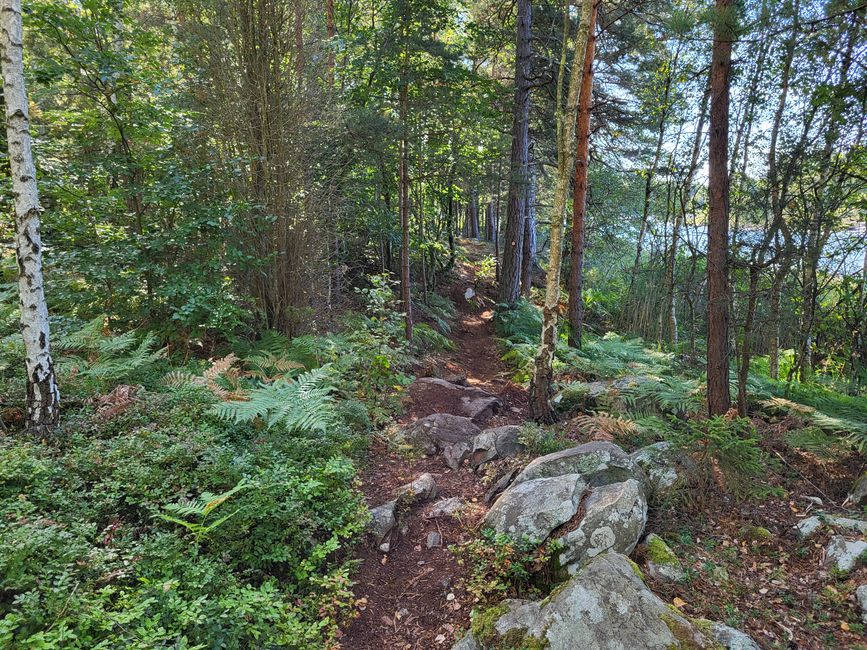 Sentier Toftåsa Moor - Parc national d'Åsnen