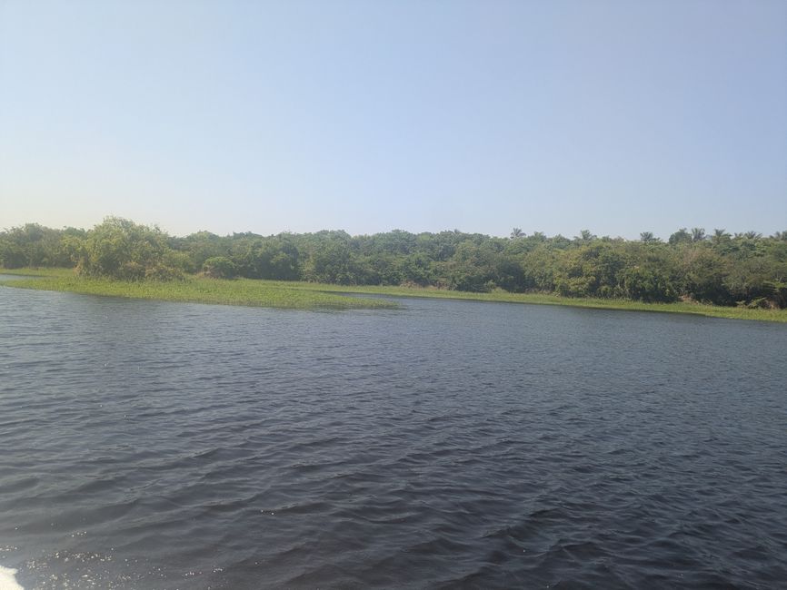 Rio Negro + Rio Solimões gleich  Amazonas