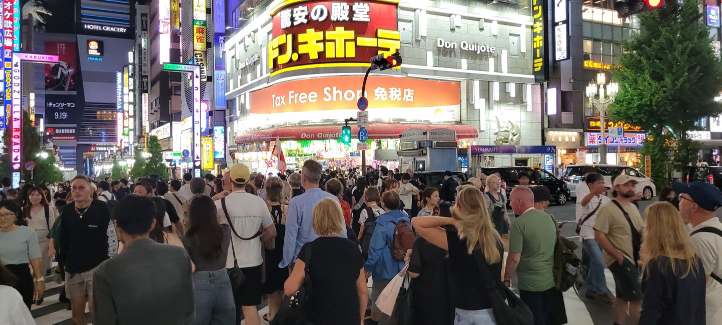 Tag 18. Tokio - Japan geht auch nass.