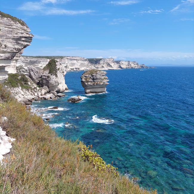 The cliffs of Bonifacio 
