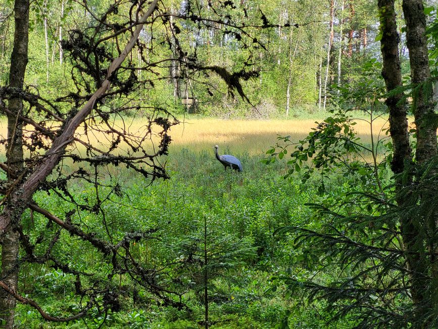 Store Mosse Nationalpark