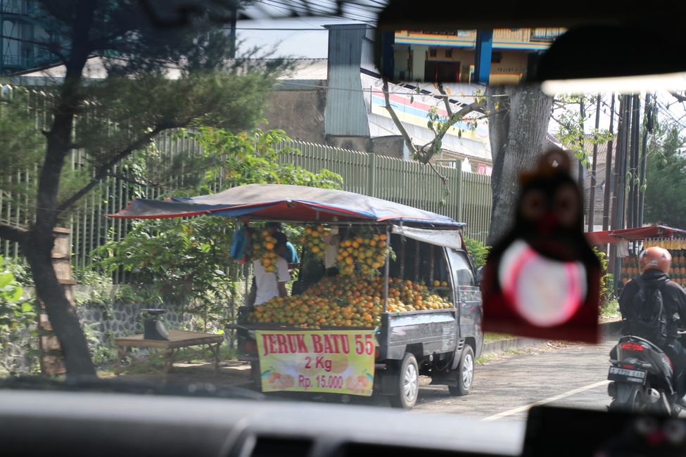Tag 7 : Malang, thé et un volcan
