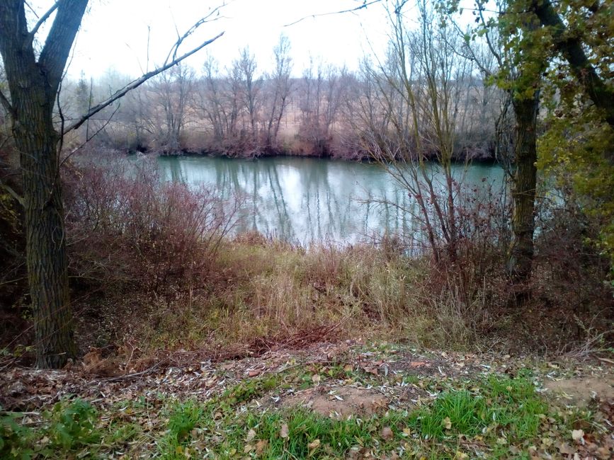 Picknickplatz Vadocondes (Ribera del Duero, Burgos) (Dezember 2021)