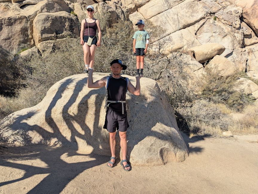 Joshua Tree