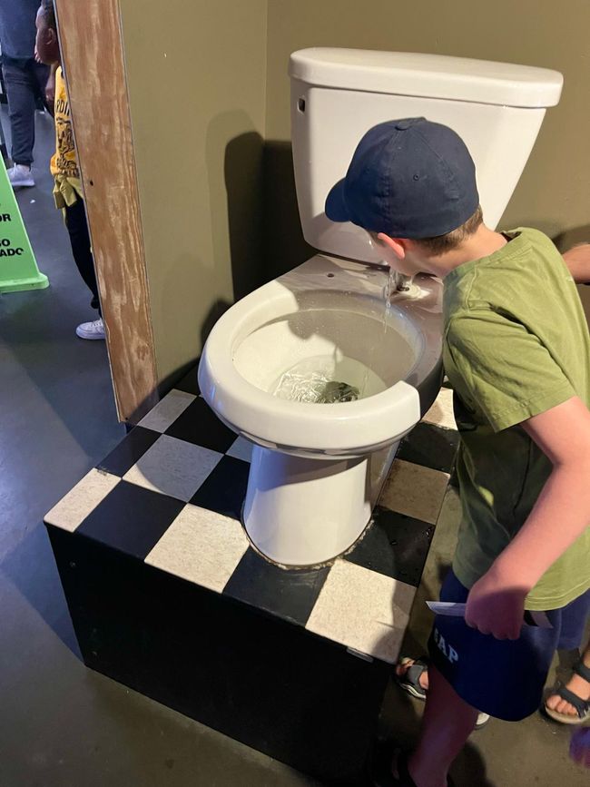 Un bagno come fontanello? Ci sono tutto all'Exploratorium 609