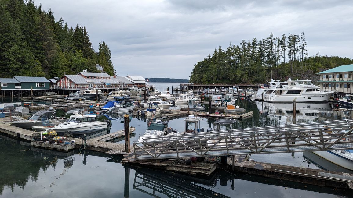 Day 11: Strathcona PP - Telegraph Cove - Alder Bay