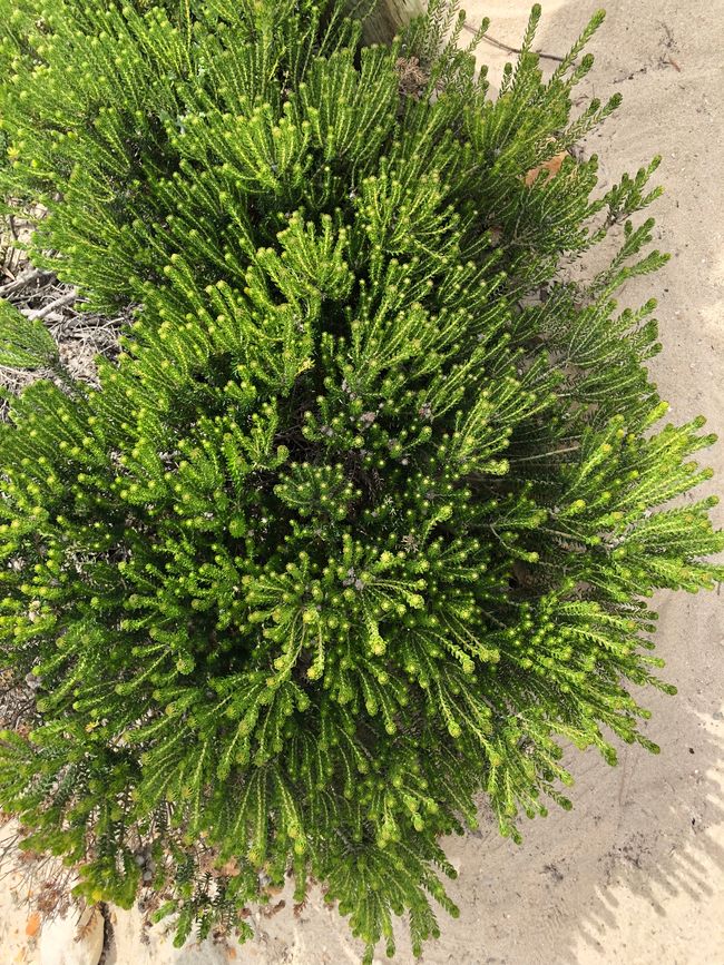 Walker Bay Nature Reservat