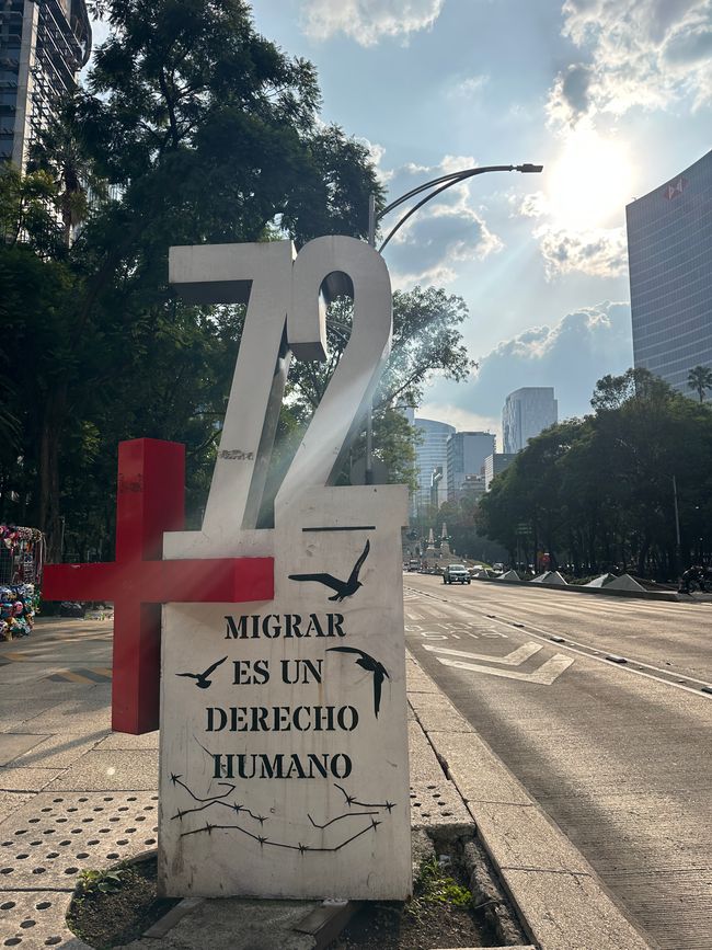 Semana 5