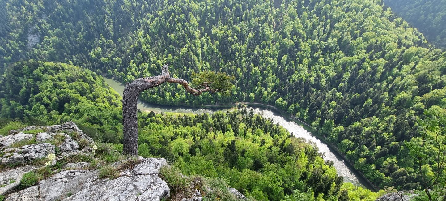 Pieniny – Polen
