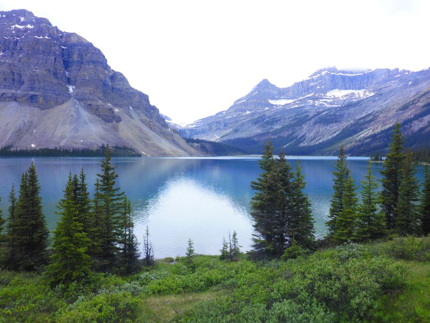 2025-06-19 sur l'Icefields Parkway de Jasper à Lake Louise, CA