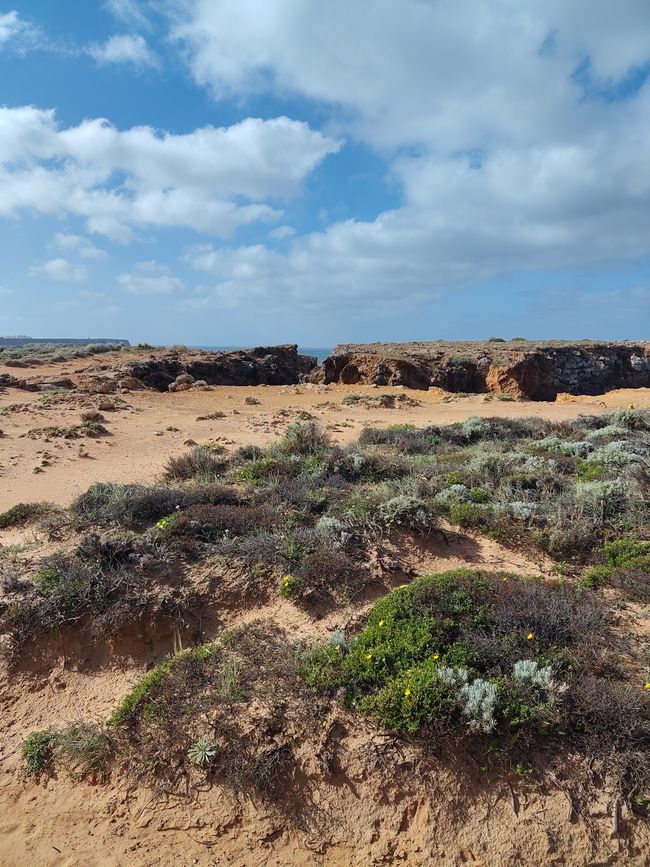 Sagres -> Vila do Bispo