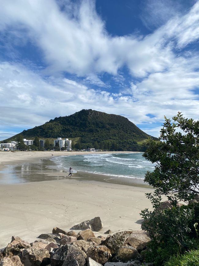 Bahía de Plenty