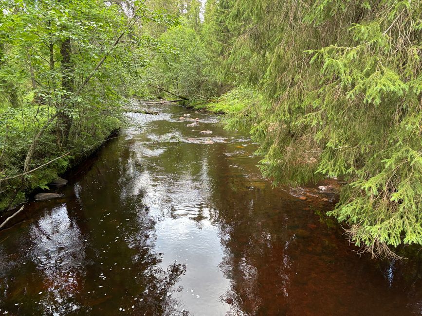 Tag 4