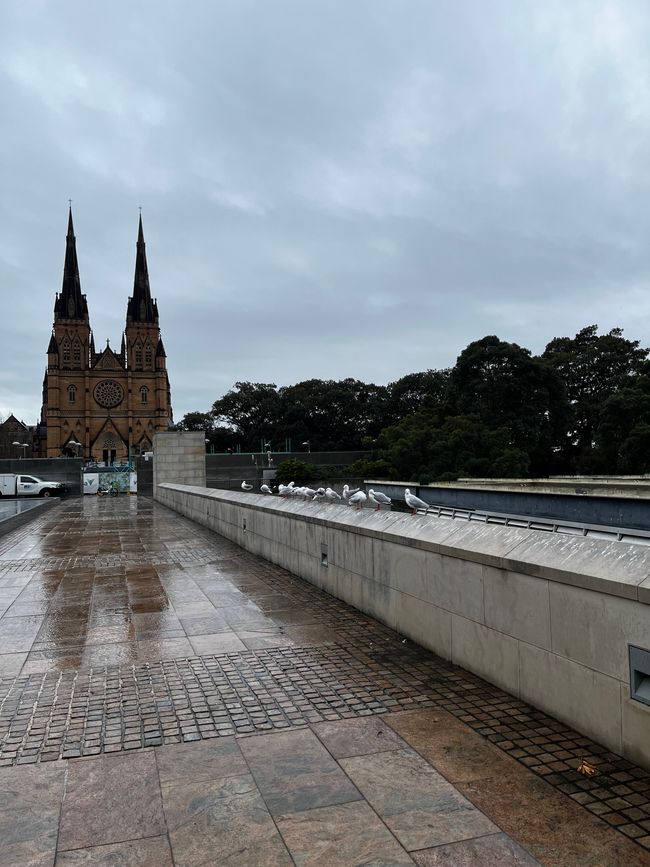 Sydney