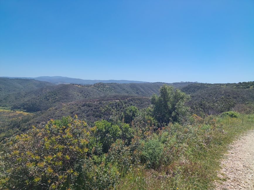 Arrifana -> Aljezur